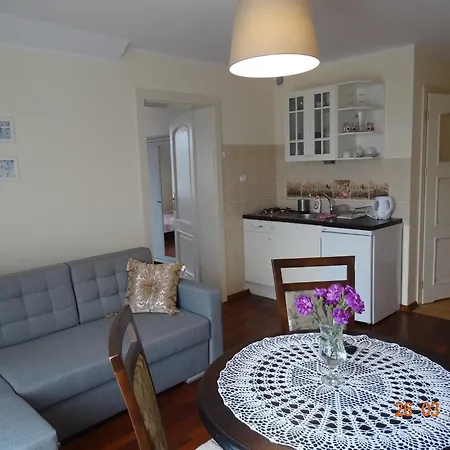 民宿 Dworek Pod Roza