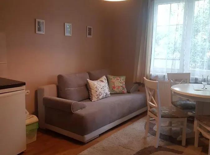 民宿 Dworek Pod Roza *